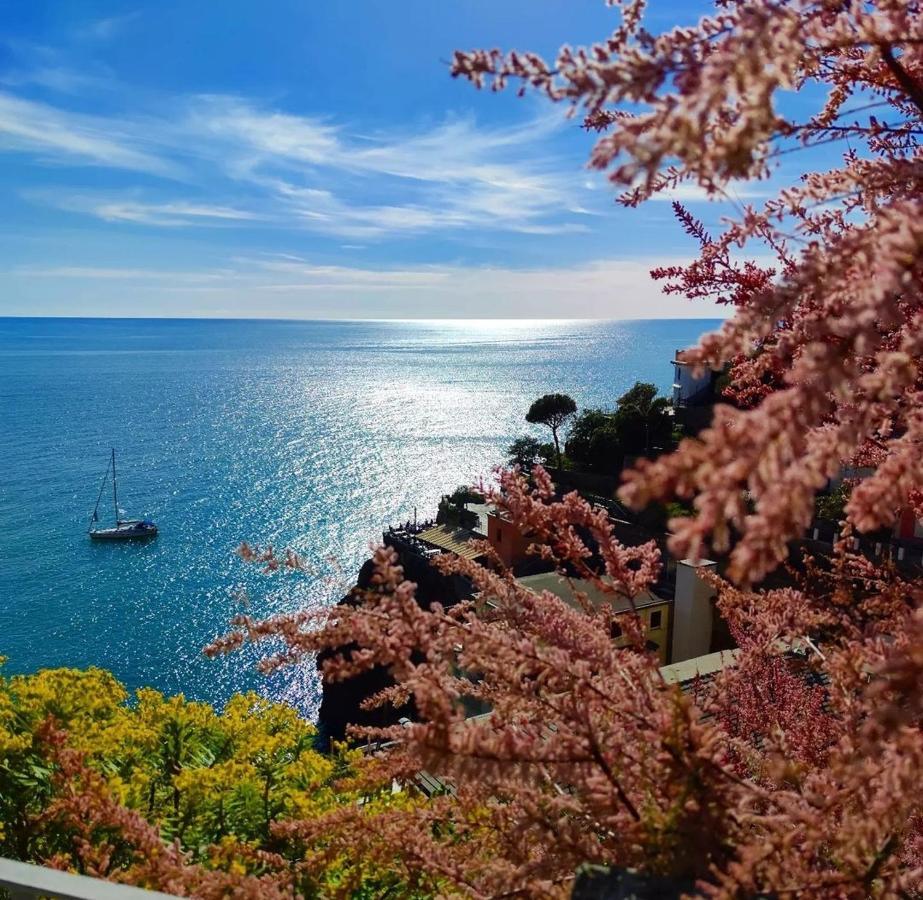 Maison Exotique - Riomaggiore / Cinque Terre / Beach Travel Exterior photo